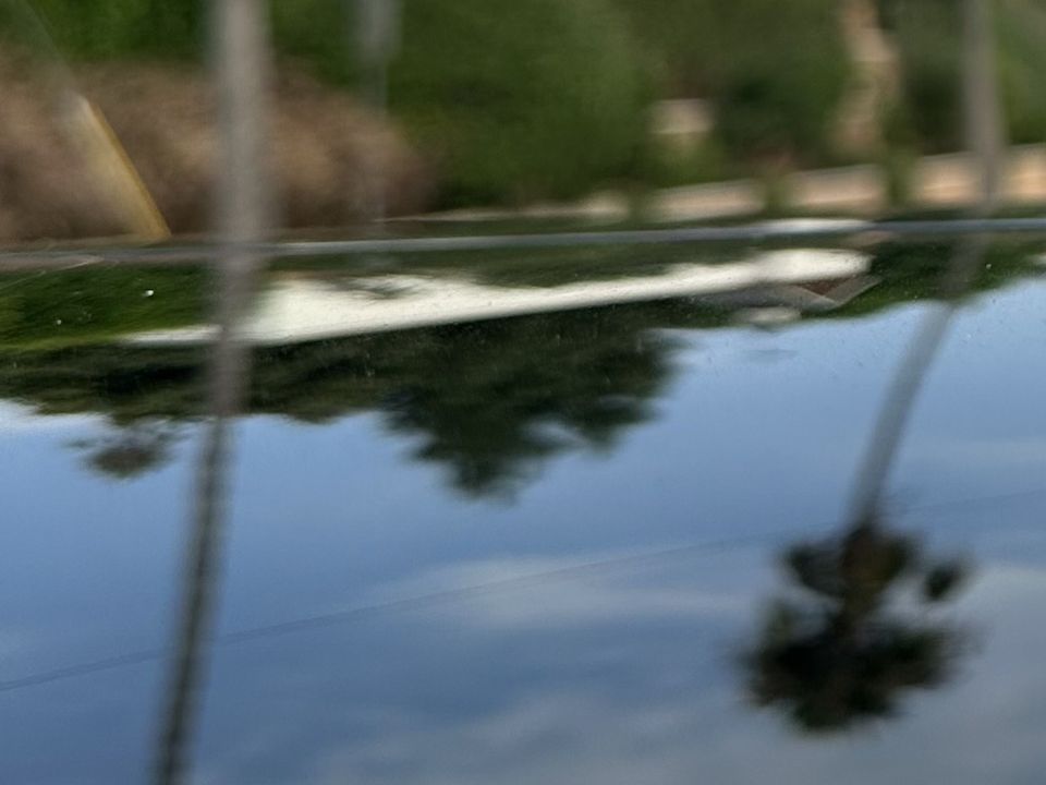 Glossy car paint reflecting palm trees and sky